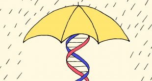 هل يمكن أن تكون الوراثة هي مفتاح عدم الإصابة بفيروس كورونا أبدًا؟