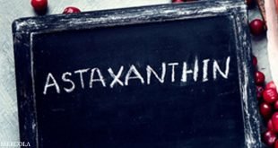 أستازانتين Astaxanthin: مضادات الأكسدة الفائقة التي تأتي من المحيط