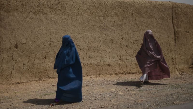 ثلاث مجموعات مساعدات أجنبية تعلق العمل في أفغانستان بعد أن حظرت طالبان العاملات